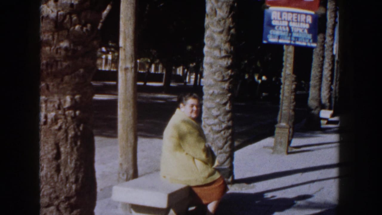 Seated woman turns toward the camera beside palm trees, pavement, and a blue sign.
