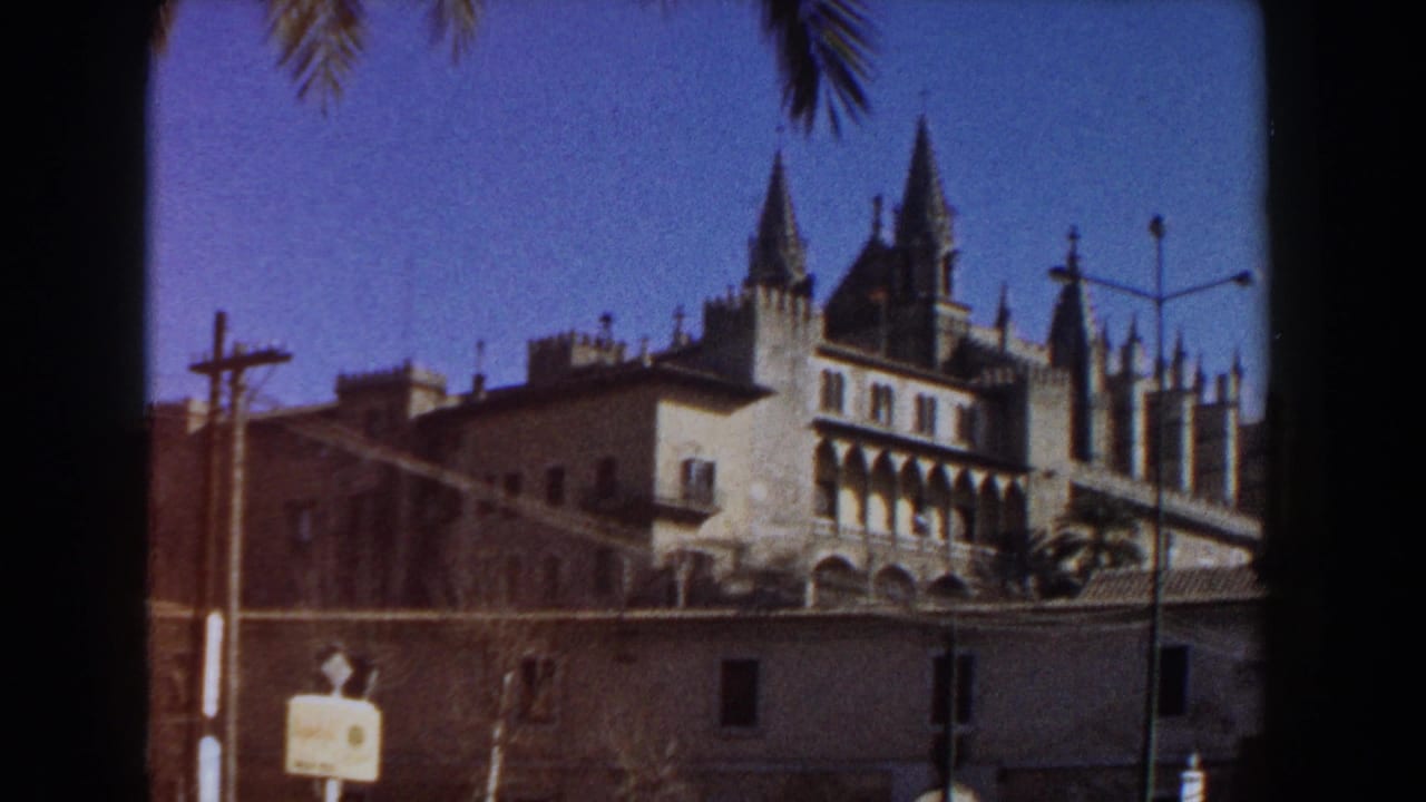 Historic cathedral exterior with pointed spires, palm fronds, street lamps, and blue sky.