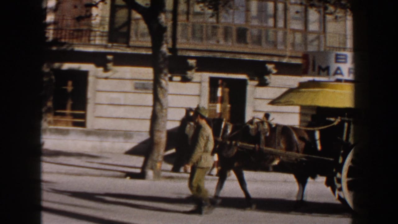 Man walking beside a horse pulling a wagon on a sunlit city street.