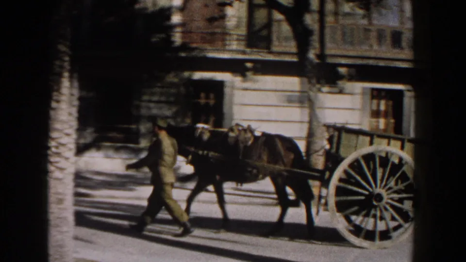 The horse-drawn wagon continues along an Italian city street, with the handler partly ahead of the horse and a large wheel visible.