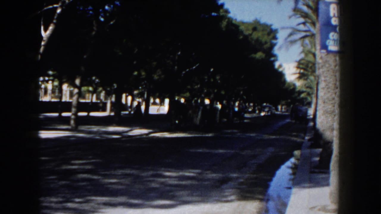 1960 Italy 8mm frame showing a quiet tree-lined street with sunlit pavement, distant cars, and a blue sign mounted on a pole.