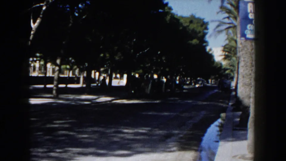 1960 Italy 8mm frame showing a quiet tree-lined street with sunlit pavement, distant cars, and a blue sign mounted on a pole.