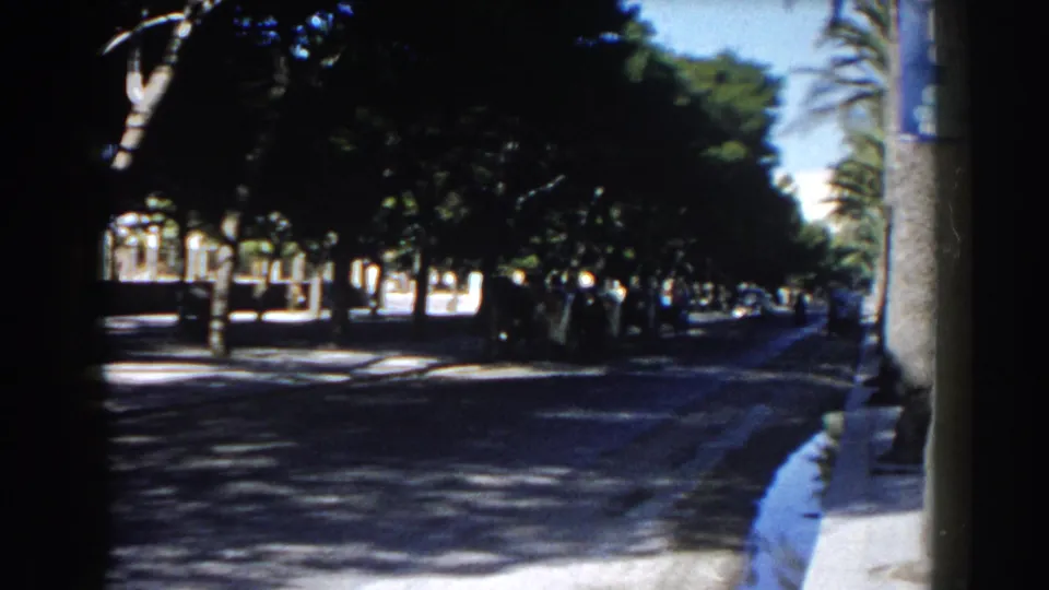 1960 Italy 8mm frame of a quiet shaded street with roadside trees, a bright curb, distant vehicles, and a partially visible blue sign.