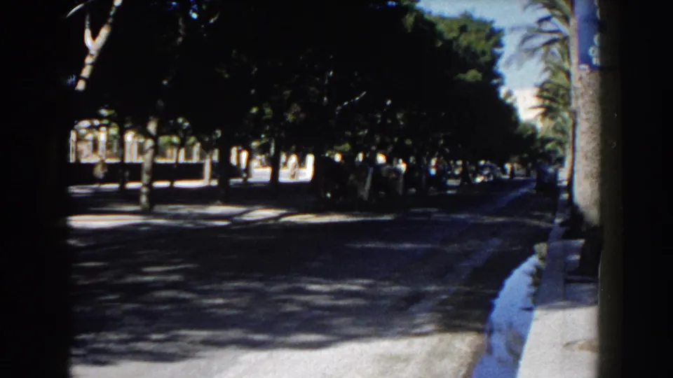 1960 Italy home-movie frame looking along a shaded avenue with trees, a palm trunk, sidewalk, and sunlit pavement beyond.