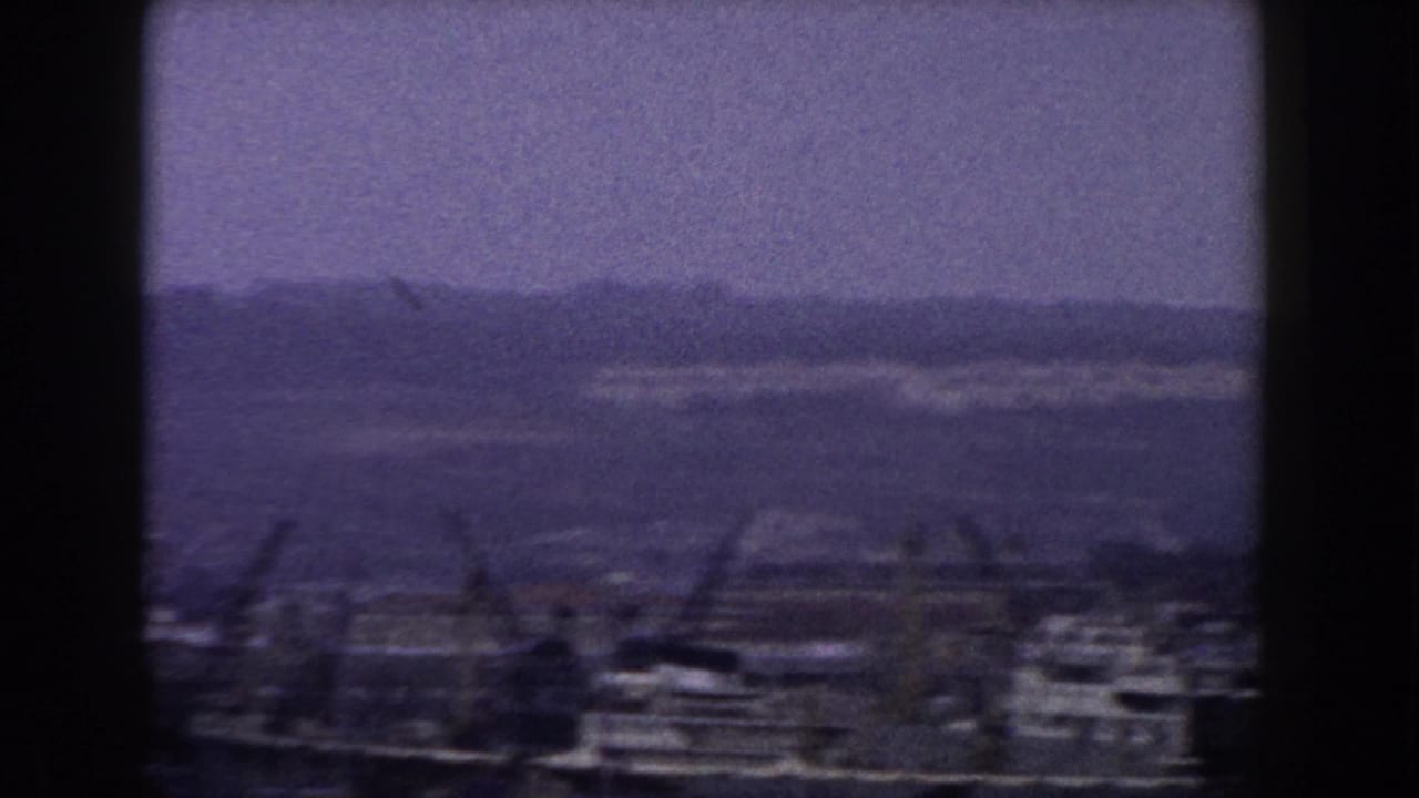 Town buildings and cranes below a hazy hillside under an overcast sky.