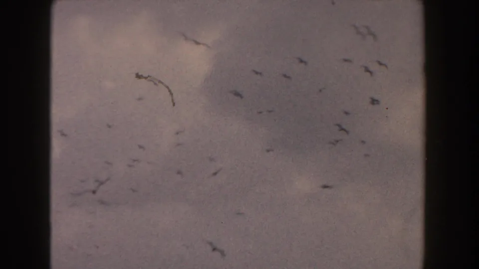 Birds cross a cloudy sky in the final 1960 Italian travel frame, with grain and color shift visible in the scan.