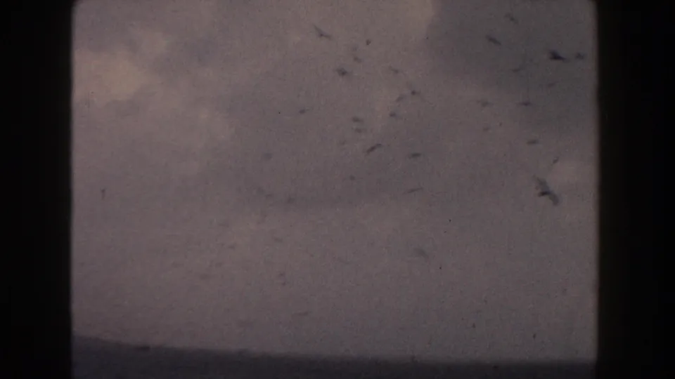 1960 Italy 8mm frame showing small birds in a muted cloudy sky over dark sea with a low shoreline in the distance.
