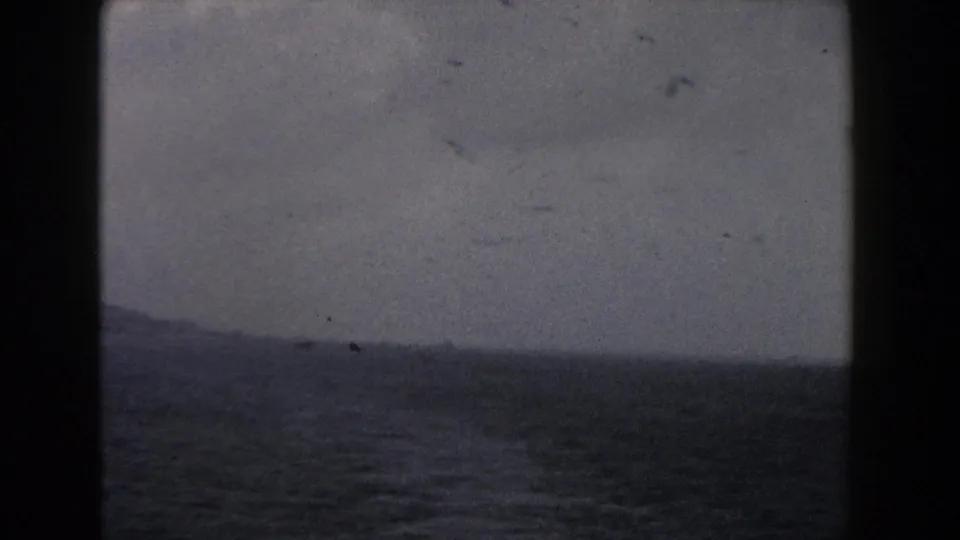 1960 Italy 8mm frame showing birds over the sea, with a dim coastline and soft horizon in the distance.