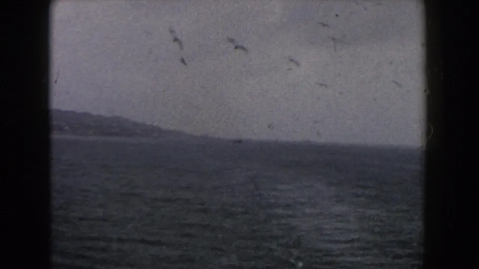 Grainy 1960 Italy home-movie frame with scattered birds over seawater and a hazy coastal slope.