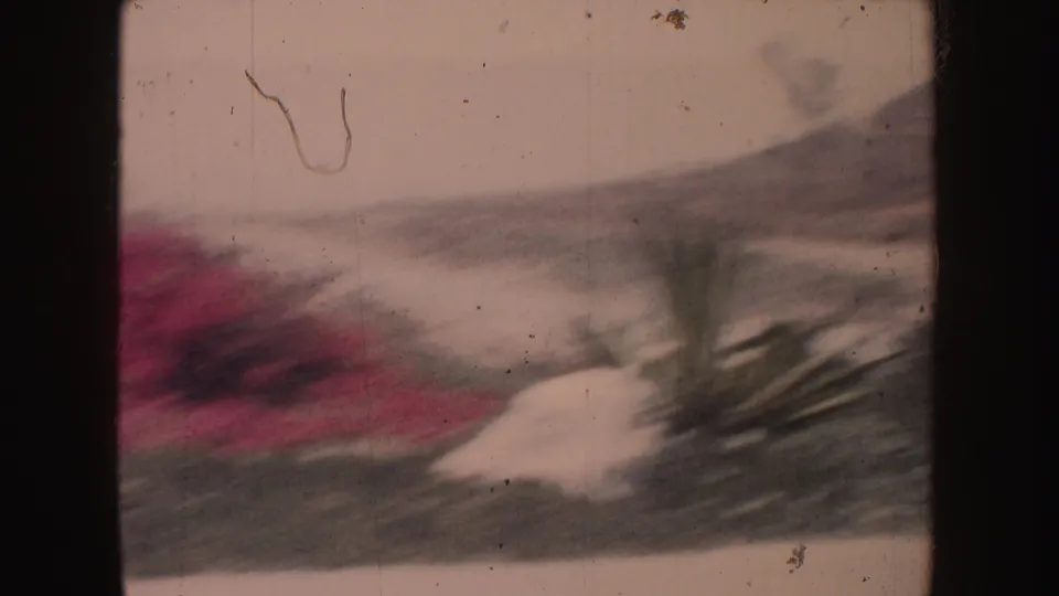 1962 California 8mm home-movie frame showing red flowering shrubs, pale rocks, low green vegetation, and hazy hills beyond.