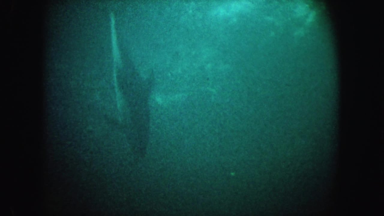 Murky green underwater view with dark frame edges and faint shapes in the water.