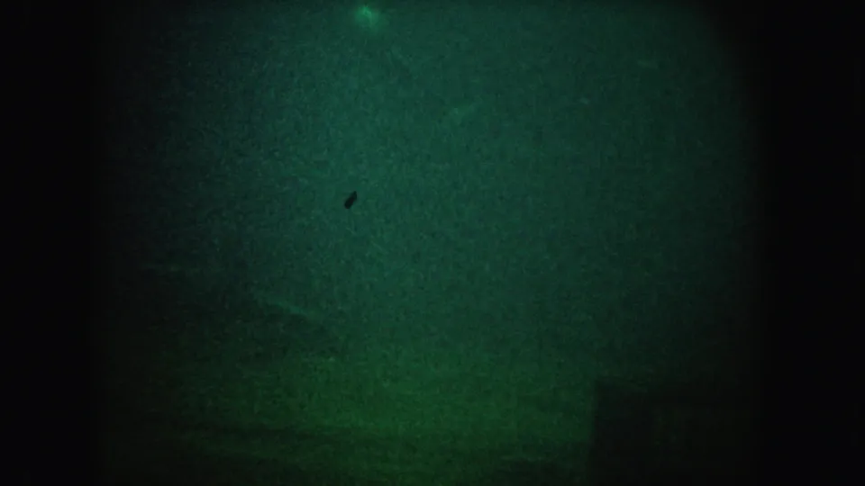 1962 California 8mm frame of a dim underwater seabed, with green haze, dark edges, grain, and minimal visible marine detail.