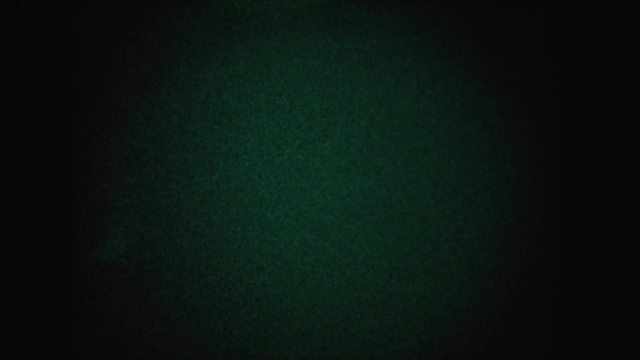 Nearly black green-tinted frame with only vague tonal shapes visible.