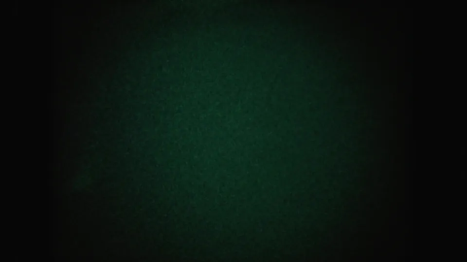 Green-tinted 8mm frame from the California clip with minimal visible detail in near darkness.