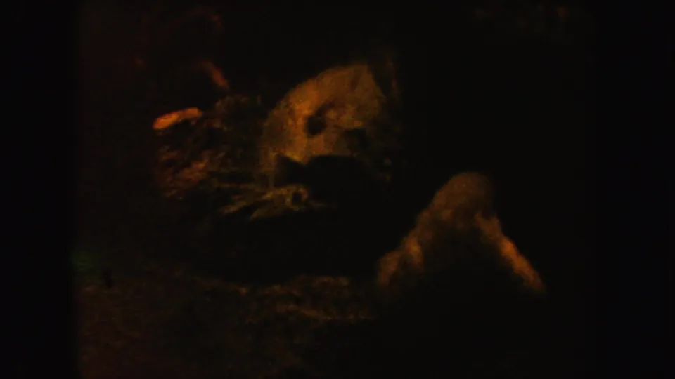 Low-light 1962 California 8mm frame showing a pale indistinct form against heavy amber grain and black surroundings.