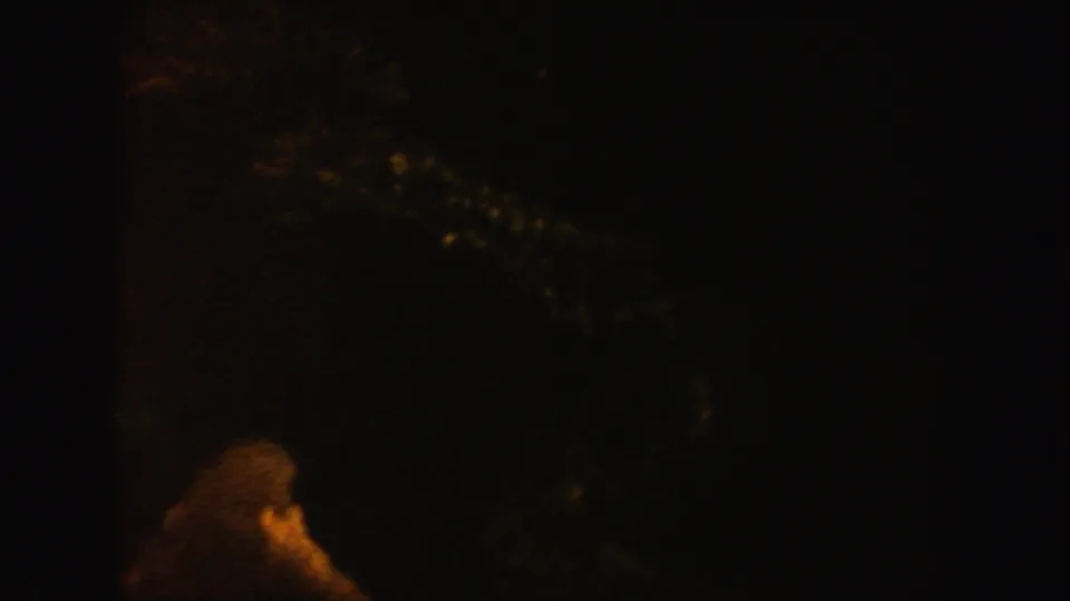 1962 California 8mm frame showing a dim underwater or aquarium scene with a faint amber coral-like form in deep shadow.