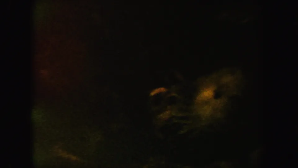 Dim 1962 California 8mm underwater or aquarium view with indistinct green and amber forms emerging from shadow.