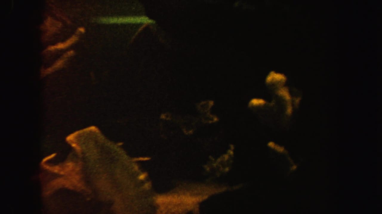 Small fish and shell-like aquarium decor appear against a dark background.