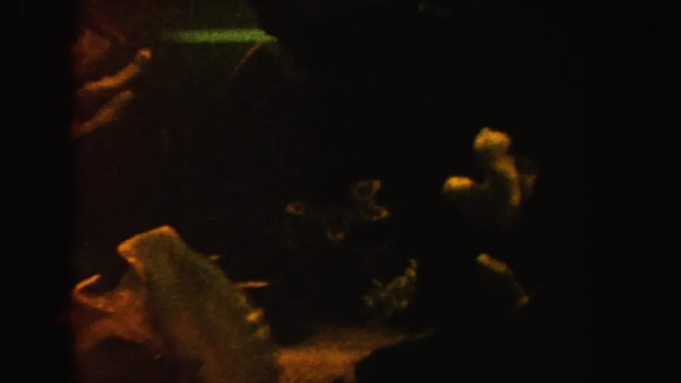 1962 California 8mm frame with small fish, shell-like decor, and plant-like forms in a low-lit aquarium tank.