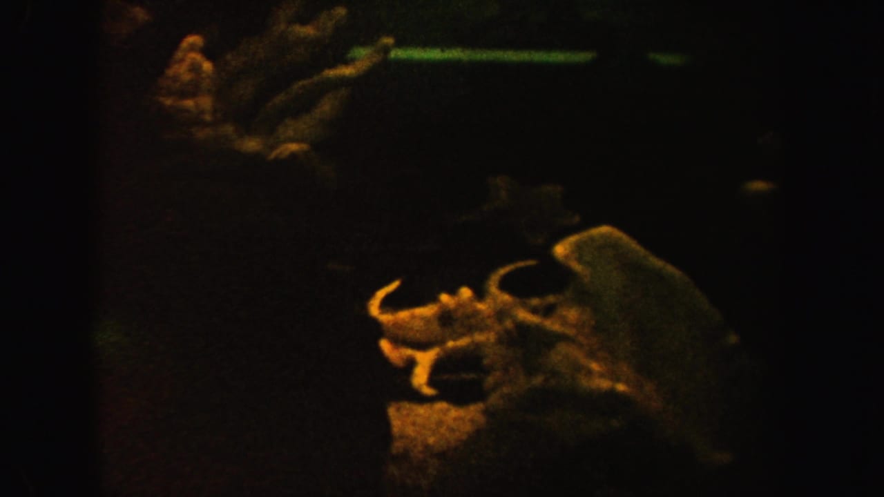 Dark cave-like interior with bone-like form, rocks, and warm amber highlights.