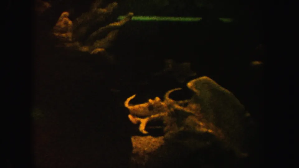 1962 California 8mm frame appears to show a dim cave or exhibit interior with a bone-like foreground form and rock textures in shadow.