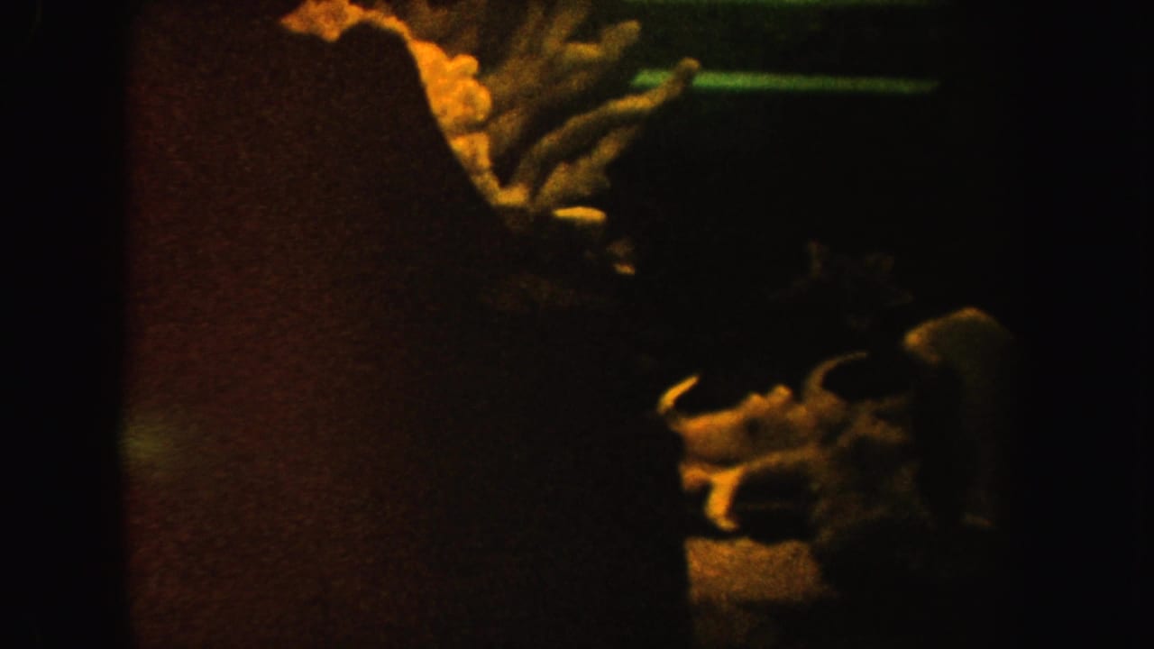 Dark display or cave view with a central vertical shadow and bone-like shapes at right.