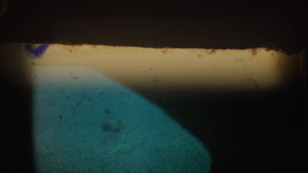 1962 California 8mm frame showing a dim aquarium view with blue-green water, heavy shadow, and the edge of the film frame.