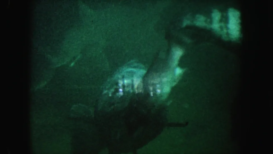 Close aquarium view of a large fish with a reflective, textured face approaching the camera in grainy 1962 California 8mm footage.