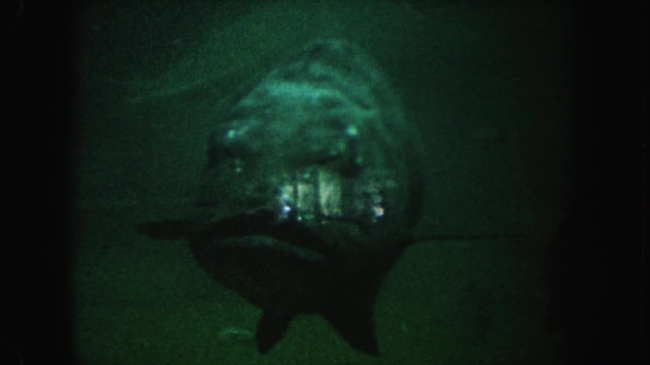 1962 California 8mm frame showing a large fish facing the camera in murky green water, with soft focus and dark film borders.