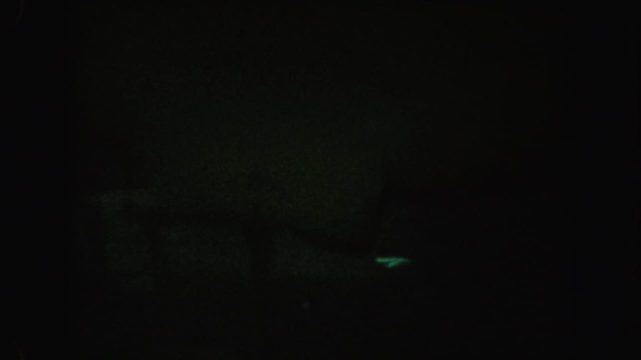 Very dark water frame with faint green highlights and little visible detail.