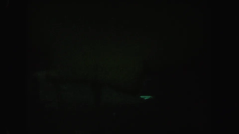 Dark, underexposed 8mm frame from the 1962 California clip with faint green water tones and indistinct aquatic detail.