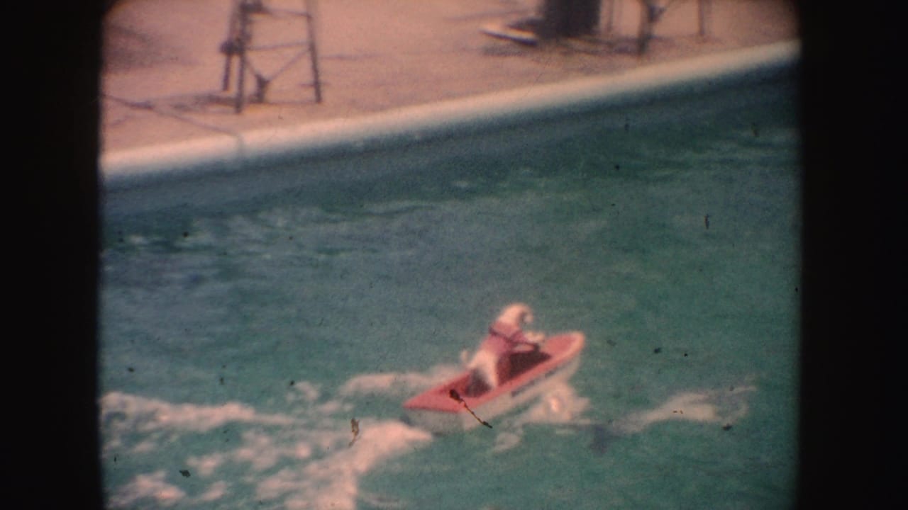 In 1962 California home-movie footage, a white dog rides a small red motorized boat across blue pool water near the deck.