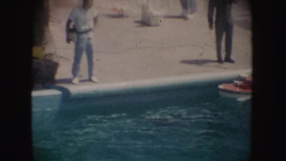 Two poolside adults are visible while the small red boat with the dog passes near the edge of the California pool scene.