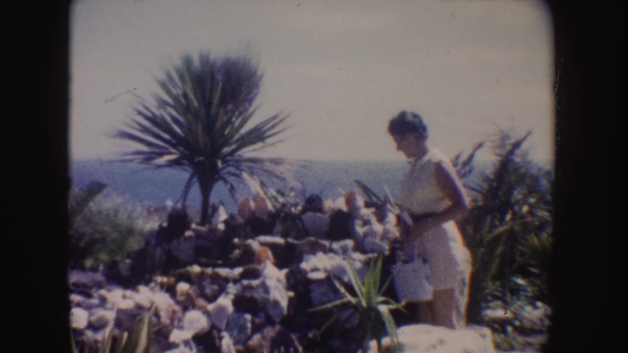 Woman in a pale dress stands beside rocky coastal plants with a yucca-like plant and ocean horizon behind her.