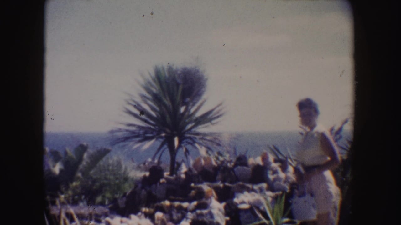 Woman stands at the right edge of a rocky garden overlook with spiky plant forms and ocean visible beyond.