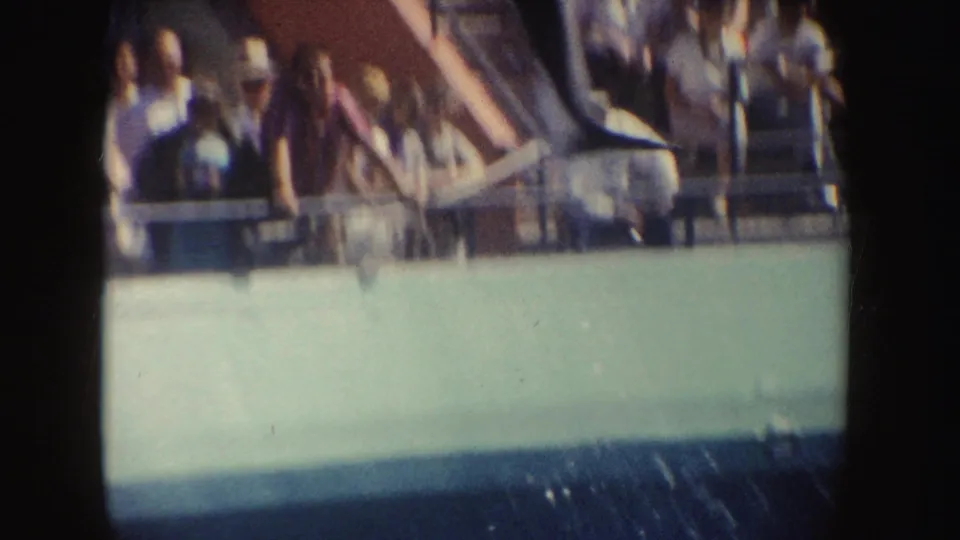 1962 California 8mm frame with spectators behind railings as water splashes in a pool performance area.