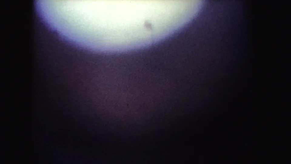 Opening 1962 California 8mm frame appears mostly dark, with a bright flare and heavy film grain before the whale action becomes clear.
