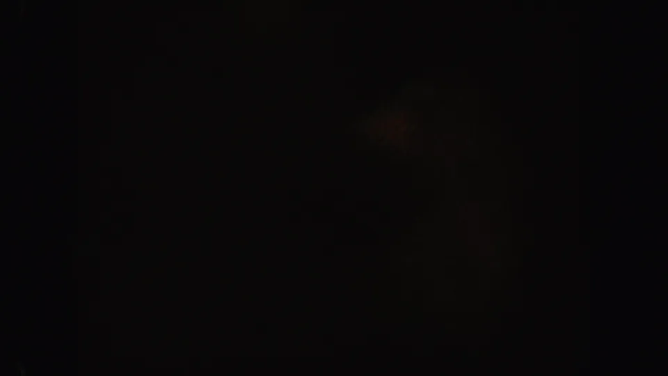 Underexposed night frame with a faint brown shape near the lower center, possibly part of the animal subject.