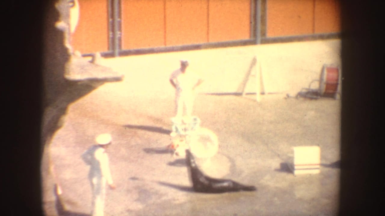 1962 California 8mm frame showing white-uniformed trainers near a sea lion, a ring prop, and other stage equipment on a concrete show area.