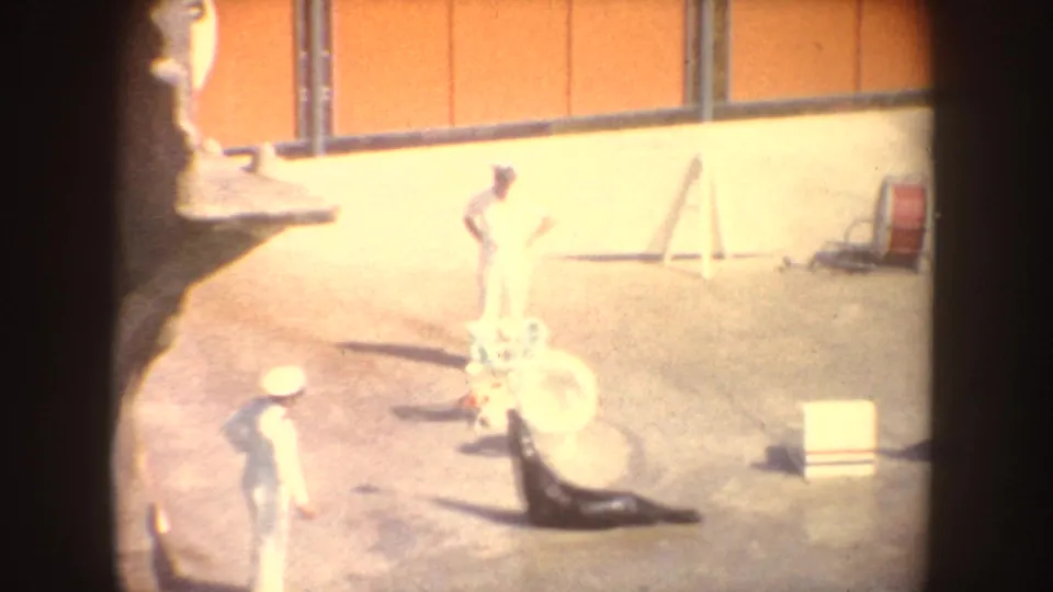 1962 California 8mm frame showing white-uniformed trainers near a sea lion, a ring prop, and other stage equipment on a concrete show area.