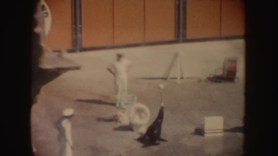 1962 California home-movie frame with a trainer, sea lions, small boxes, and a hoop prop in a trained animal performance area.