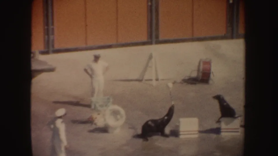 1962 California 8mm still showing two white-uniformed trainers, sea lions, boxes, and a ring prop during an outdoor animal act.