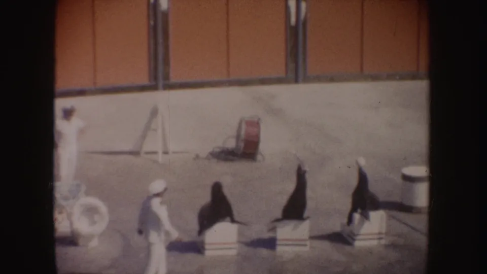 1962 California home-movie view of a handler directing sea lions on blocks, with a life preserver and simple arena props nearby.