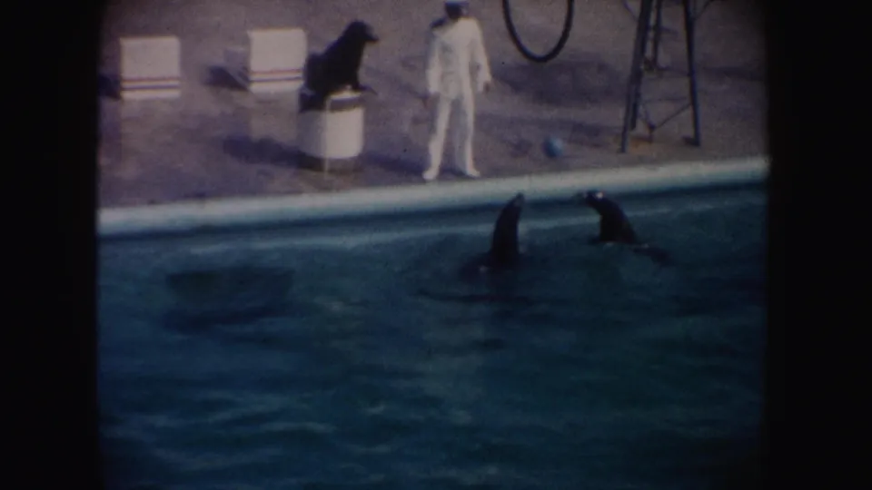 1962 California 8mm frame showing a trainer beside a pool, a seal perched on a barrel, and two seals in the water.