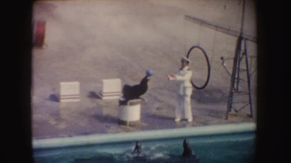 1962 California 8mm frame showing a seal posed on a barrel as a white-uniformed trainer gestures near poolside hoops.