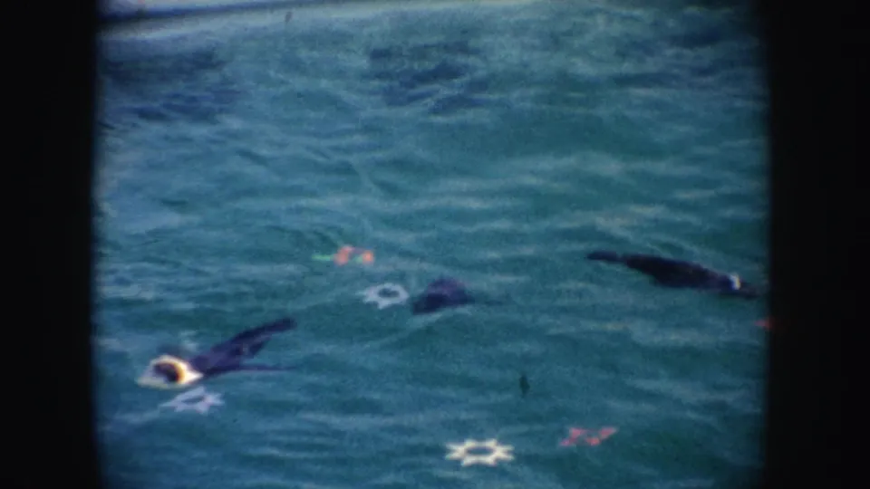1962 California home-movie frame of seals gliding through blue-green pool water near small pink or orange floating objects.