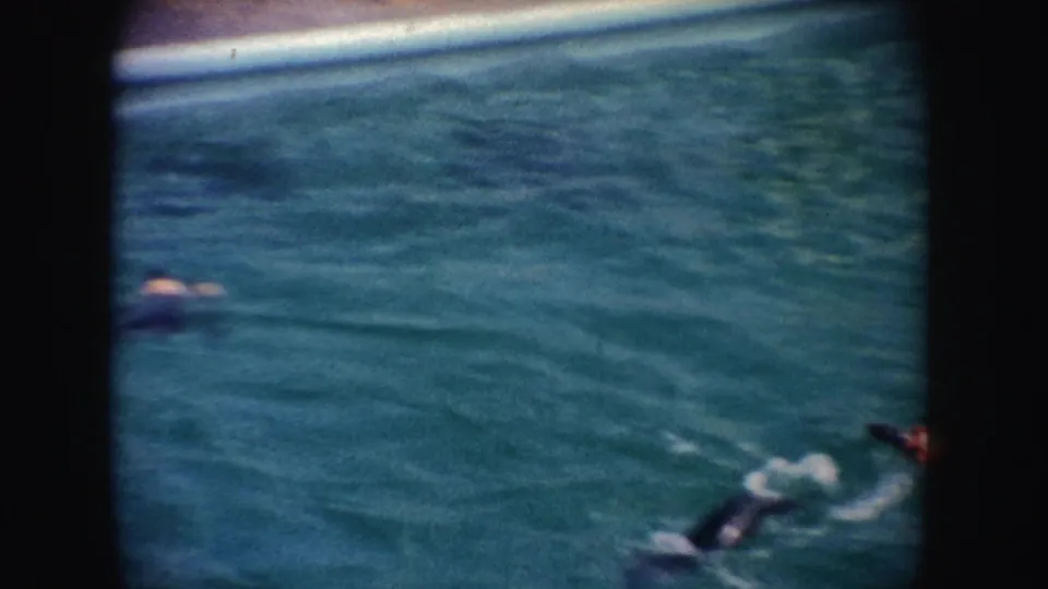 1962 California 8mm frame with seals partly visible in a turquoise pool, including one surfacing near the bottom of the frame.