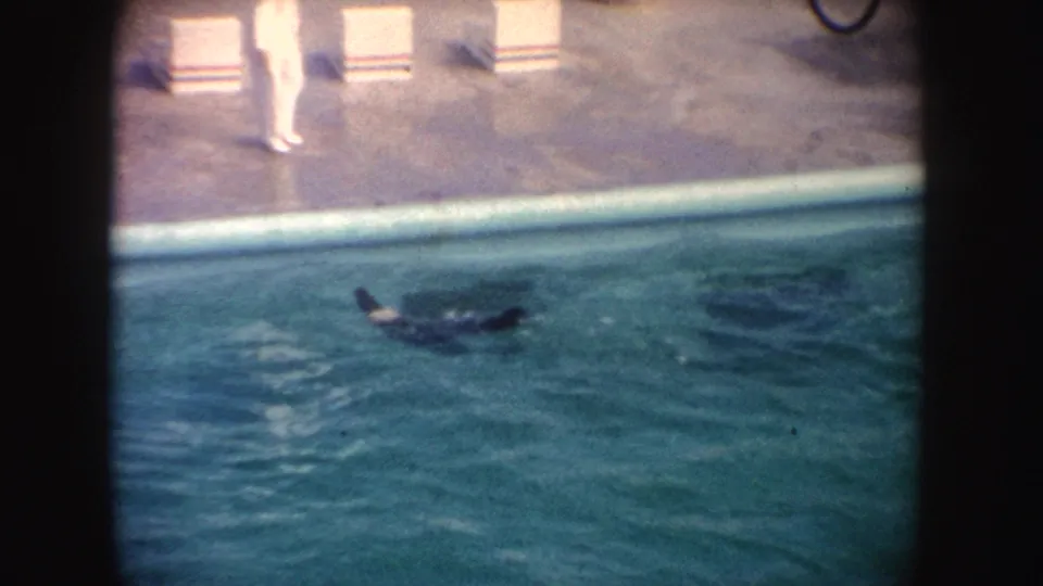 A white-suited trainer stands beside the pool as a seal swims in the water, consistent with the stated 1962 California home movie.