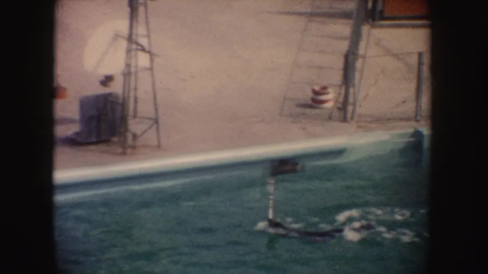 The seal surfaces near the pool edge with metal stands and steps visible on the deck in this 1960s animal-show setting.