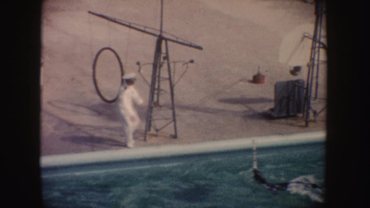 1962 California home-movie frame showing a white-uniformed man beside a marine park pool with a dolphin in the water.